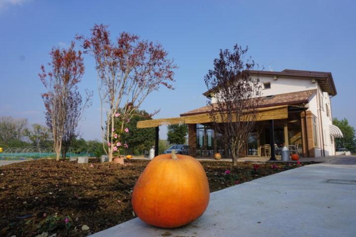 Agriturismo Campogrande Carpaneto Piacentino Exterior foto